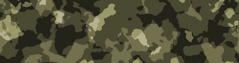 Bischhock's Cover