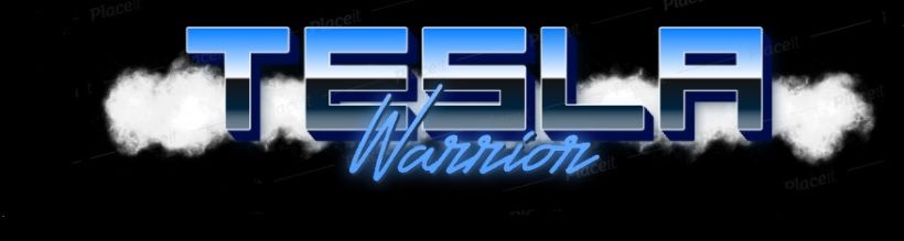 teslawarrior's Cover