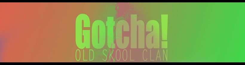 Gotcha! Cover